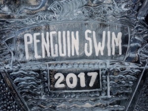 penguin-swim_img_0934_01_01_2017